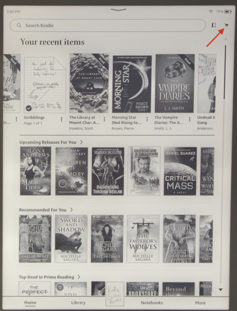 Kindle store not working